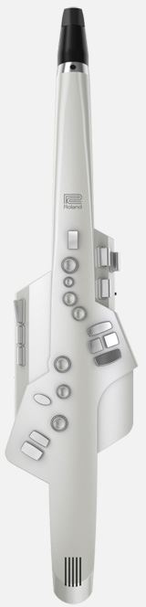 Roland AE-10 aerofon, dęty instrument elektronicz